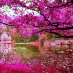 그나스족속 갈렙 by 죠앤 박목사. SBC | Free Listening on SoundCloud 그나스족속 갈렙