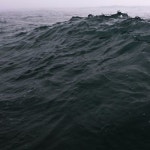 Stream ocean by aderal | Listen online for free on SoundCloud ocean