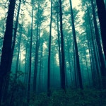 Stream mashh | Listen to 140421 playlist online for free on SoundCloud 140421