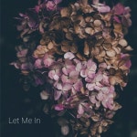 Kisnou Feat Blure - Falling Deeper by Thathard Magazine Let Me In (A Poem) ft. Nori