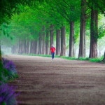 Listen to playlists featuring 가로수그늘아래서면(이문세)... mp3 by Jea kyeong Seo online for free on SoundCloud 가로수그늘아래... 