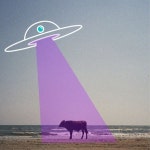 s e s h x leet -  H3110 in weird & wonky & heavy?? weird & wonky & heavy??