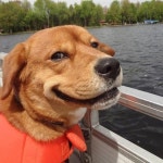 this mix aint flawless by SERB686 🔊