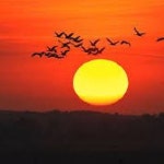 Stream Sundown by Roni Mäkelä | Listen online for free on SoundCloud Sundown