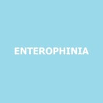Stream Entero by Pedro Hawpin | Listen online for free on SoundCloud Entero