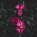 Stream You & Me by HISKEE | Listen online for free on SoundCloud You & Me