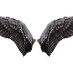 Stream Wings by KDaGreat | Listen online for free on SoundCloud Wings