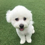 Episode 16- YUNU in WeOutHereSeoulCity WeOutHereSeoulCity