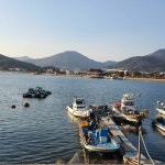 (Feat. SNAIL) (Prod. COLDE$T) by 달빛바다 | Listen online for free on SoundCloud F R E E ! (Feat. SNAIL) (Prod. COLDE$T)