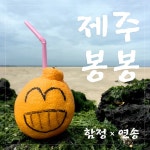 Stream 제주봉봉 by 함정 | Listen online for free on SoundCloud 제주봉봉