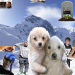 Stream vampire by cj0s | Listen online for free on SoundCloud vampire