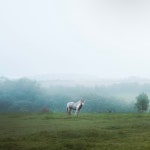 OFFENDED (prod. Sapjer) in HEART WRECK & THINGS OF THAT NATURE HEART WRECK & THINGS OF THAT NATURE