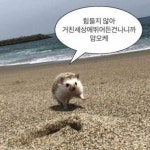 Listen to playlists featuring 힘들지 않아 거친세상에뛰어든건나니까 암오케 Demo by 순정마초 배병규 online for free on SoundCloud... 