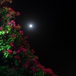 يا نجد الأحباب لِك حدرالقمر صورة by RaeD | Rae D | Free Listening on SoundCloud يا نجد... 