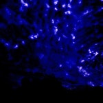 Stream jampack by zami | Listen online for free on SoundCloud jampack