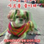 Stream 우리집 강아지 사료를 좋아해 ver1 by 사이버가수... Listen online for free on SoundCloud 우리집 강아지 사료를 좋아해 ver1