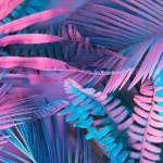 Stream 405STAYTUNE | Listen to 2025 pli playlist online for free on SoundCloud 2025 pli