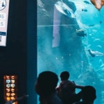 Stream Aquarium by kornings | Listen online for free on SoundCloud Aquarium