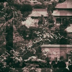 Hurt by Mike Dignam Cataclysm