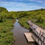 Stream 10/28/22 - Ep. 37 by Henrico County Podcast | Listen online for free on SoundCloud 10/28/22 - Ep. 37