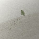 Stream 기다리다 (w.이제순) by 은빈 | Listen online for free on SoundCloud 기다리다 (w.이제순)