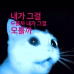 Do I Not Know That? 1