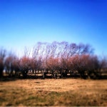 Stream Himno by Rural | Listen online for free on SoundCloud Himno