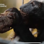 Stream 03. 서면 freestyle by S T0WN | Listen online for free on SoundCloud 03. 서면 freestyle