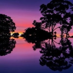 Stream IM SO HIGH by B L E S S Y X U | Listen online for free on SoundCloud IM SO HIGH