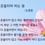 [모르는 노래 챌린지] 흔들리는 꽃ㅠ들 속에서 네 샴푸향이 느껴진거야 by 천하대장군 [모르는 노래 챌린지] 흔들리는 꽃ㅠ들 속에서 네 샴푸향이... 