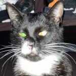 Stream 서울중앙의료의원 정형외과 장동주 부원장 FREESTYLE (with. Blanc) by walovaycay | Listen online for free on SoundCloud... 