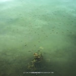 Stream dubpoet | Listen to AMBIENT playlist online for free on SoundCloud AMBIENT