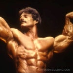 Stream Particles (slowed) 1980 Mr. Olympia by ike | Listen online for free on SoundCloud Particles (slowed) 1980 Mr. Olympia