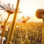 Stream 오늘까지만 by blueday | Listen online for free on SoundCloud 오늘까지만