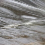 Listen to playlists featuring 58 by birdz online for free on SoundCloud 58