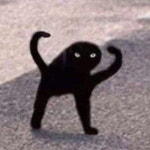 Stream cat by burritocat | Listen online for free on SoundCloud cat
