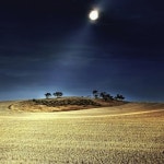 Stream Night Field by Leilani Wilson | Listen online for free on SoundCloud Night Field