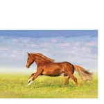 Stream 남산 Namsan by djmaleblanc | Listen online for free on SoundCloud 남산 Namsan