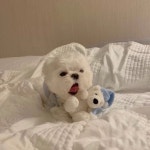 Stream Lil miracle by 한 | Listen online for free on SoundCloud Lil miracle