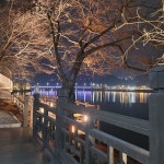 사랑했잖아 (@dgmz) by 제이에스 (JS) 사랑했잖아 (@dgmz)