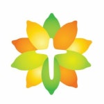 Stream 240118 목요일 새벽설교 김다솔 부목사 by 주향감리교회 | Listen online for free on SoundCloud 240118 목요일 새벽설교... 