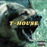 Stream T-HOUSE by BombaCult | Listen online for free on SoundCloud T-HOUSE