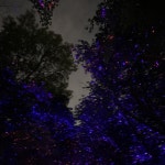 Stream 잊어야 한다는 마음으로 by 감자동 | Listen online for free on SoundCloud 잊어야 한다는 마음으로