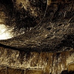 Stream mykrəlite | Listen to Wyre playlist online for free on SoundCloud Wyre