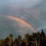 Stream Stay young by Alan_12 | Listen online for free on SoundCloud Stay young