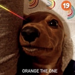 Stream 우리집 강아지 (My Dog) by OTO | Listen online for free on SoundCloud 우리집 강아지 (My Dog)