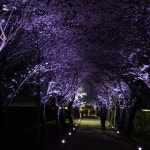 Stream 2021 demo by 원강 | Listen online for free on SoundCloud 2021 demo