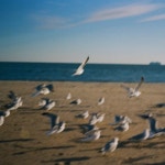 Stream Yours_demo by AZU | Listen online for free on SoundCloud Yours_demo