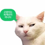 고양이는 외계인이 아니다 by PAAD | Free Listening on SoundCloud 고양이는 외계인이 아니다