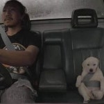 Stream Soul by Slunny | Listen online for free on SoundCloud Soul